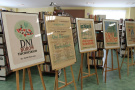 Plakaty Dni Borów Tucholskich na wystawie w bibliotece