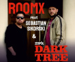 Palkat koncertu ze zdjęciem grupy Roomx i Sebastiana Sikorskiego