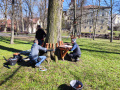 Pracownicy montujący elementy parku linowego