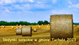 Grafika z napisem: Dożynki sołeckie w gminie Tuchola 2023