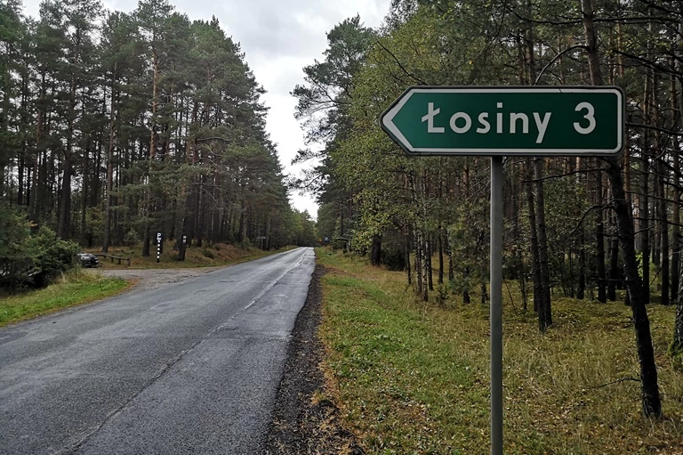 8 października br. przekazano plac budowy pod realizację inwestycji polegającej na przebudowie drogi gminnej Legbąd – Łosiny na odcinku od km 0+000 do km 1+017 o dł. 1,17 km wraz z włączeniem się w drogę wojewódzką nr 237 w km 8+006.