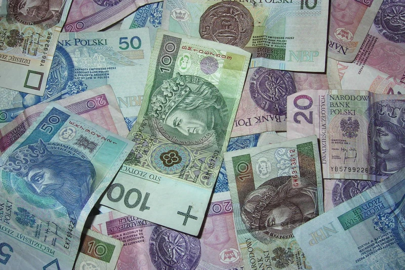 Na zdjęciu polskie banknoty, fot. Pixabay