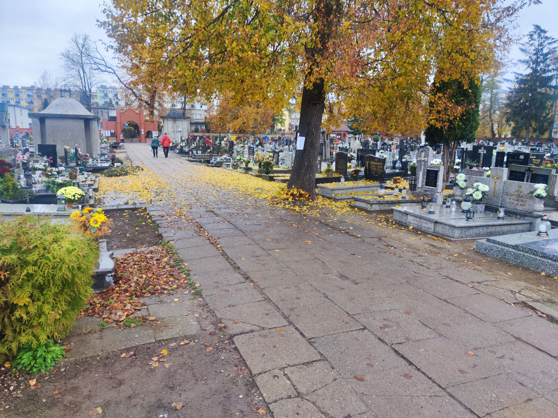 Zdjęcie przedstawia chodnik na cmentarzu.