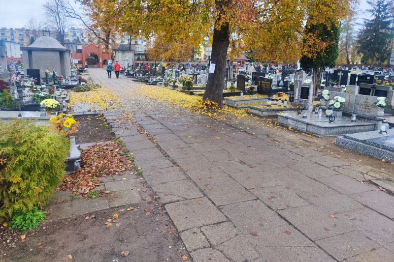 Zdjęcie przedstawia chodnik na cmentarzu.