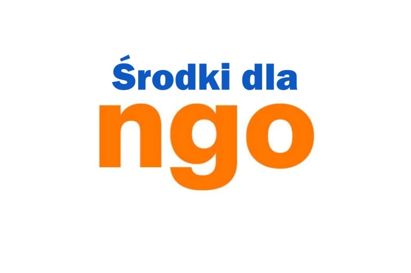 Grafika zawiera tekst: środki dla NGO